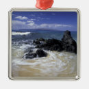 Pesquisar por ocean surf ornamentos Mar