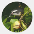 Pesquisar por alimentação adesivos Amarelo