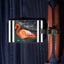 Pesquisar por flamingo bagagem tags Pássaro