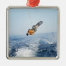 Pesquisar por atividades ornamentos Vitalidade