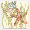 Pesquisar por sem arte adesivos Concha