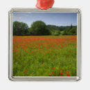 Pesquisar por agrícola ornamentos Europa