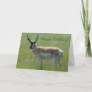 Pesquisar por antilope cartoes Antílope