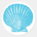 Pesquisar por imagens do seashell Seashells