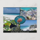 Pesquisar por vacinação cartoes postais Praia