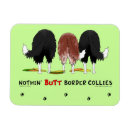 Pesquisar por border collie imas Cães