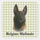 Pesquisar por malinois adesivos Animal