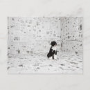 Pesquisar por bizarro cartoes postais Humor