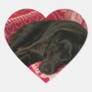 Pesquisar por muco adesivos Animal