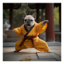 Pesquisar por fu do kung pósteres pôsteres Shaolin