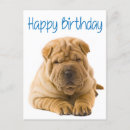 Pesquisar por shar pei vertical cartoes Cachorrinho