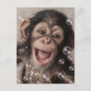 Pesquisar por macaco feliz cartoes postais Chimpanzé