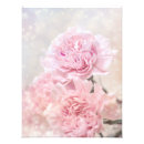 Pesquisar por cravo cor de rosa pôsteres Flores