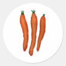 Pesquisar por cenoura adesivos Pintura