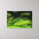 Pesquisar por imagens 3d impressão de canvas Ampliação