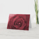 Pesquisar por sentimentos convites Rosa