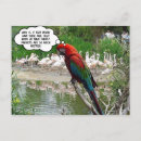 Pesquisar por ciumento cartoes postais Inveja