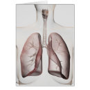 Pesquisar por sistema respiratório cartoes postais Garganta