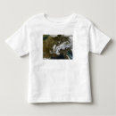 Pesquisar por europa ocidental camisetas Geografia