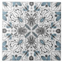 Pesquisar por insetos azulejos Libélula