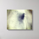 Pesquisar por cavalo branco impressão de canvas Equestre