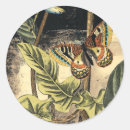 Pesquisar por preto e creme adesivos Botânica