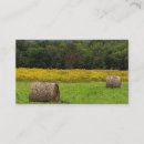 Pesquisar por feno cartao de visita Pacote