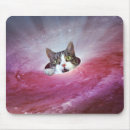 Pesquisar por gatos do lol Espaço