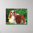 Pesquisar por cavalier impressão de canvas Animal