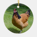 Pesquisar por penas ornamentos Plumagem