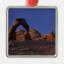 Pesquisar por delicado ornamentos Natureza