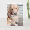 Pesquisar por make money cartoes Qualquer pessoa