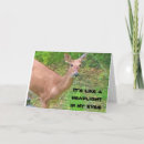 Pesquisar por irmã adulta cartoes Fotografia