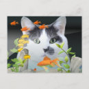 Pesquisar por peixes engraçados cartoes postais Gato