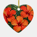 Pesquisar por hibisco ornamentos Tropical