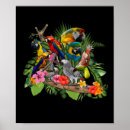 Pesquisar por cockatiel pósteres pôsteres Papagaio