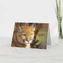 Pesquisar por pantera animal cartoes Selvagem