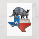 Pesquisar por armadillo cartoes postais Animais