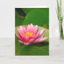 Pesquisar por flor lótus vertical cartoes Floral