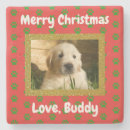 Pesquisar por foto do gato porta copos Natal