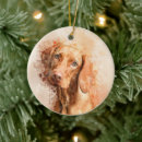 Pesquisar por vizsla ornamentos Ponteiro húngaro