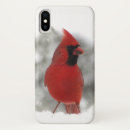Pesquisar por ornitologia iphone capas Animais