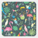 Pesquisar por tropicais adesivos Ilustração