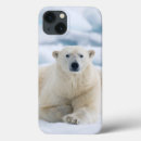 Pesquisar por ipad do urso polar Animal