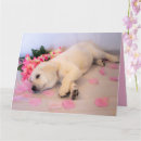 Pesquisar por charada cartoes Fofo