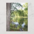 Pesquisar por tennessee cartoes postais Água