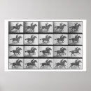 Pesquisar por locomoção Eadweard