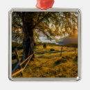 Pesquisar por alvorecer ornamentos Natureza