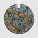 Pesquisar por ossos ornamentos Fóssil