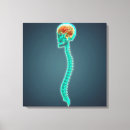 Pesquisar por anatomia humana impressão de canvas Tórax